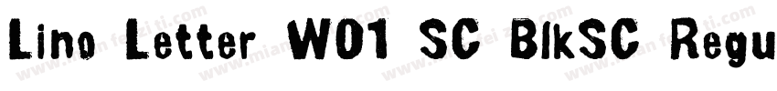 Lino Letter W01 SC BlkSC Regular字体转换